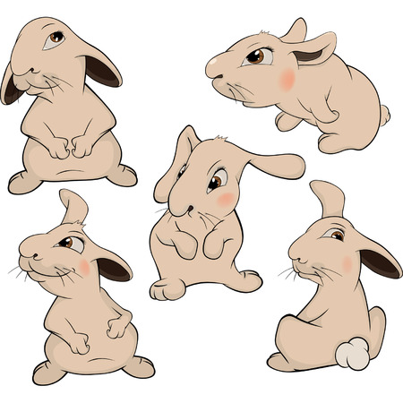 a set of rabbits cartoon のイラスト素材