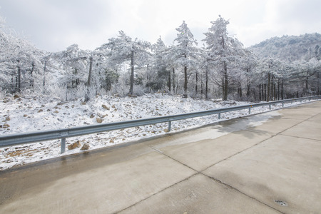 Road at countryside in snow sceneryの写真素材