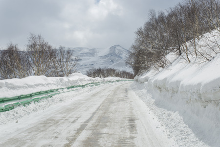 Snow forest roadの写真素材