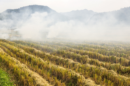 Paddy incinerationの写真素材