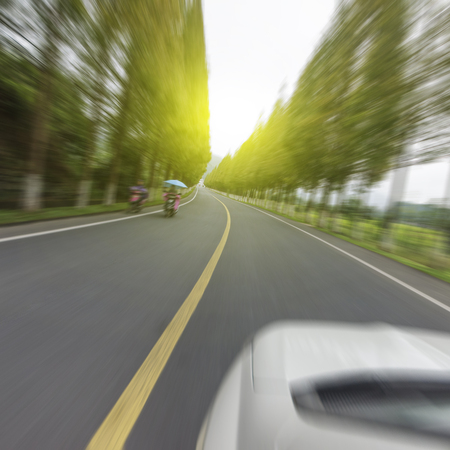 Forest roadの写真素材