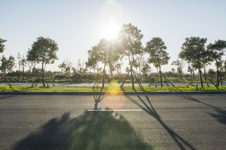 Sunset forest roadsの写真素材