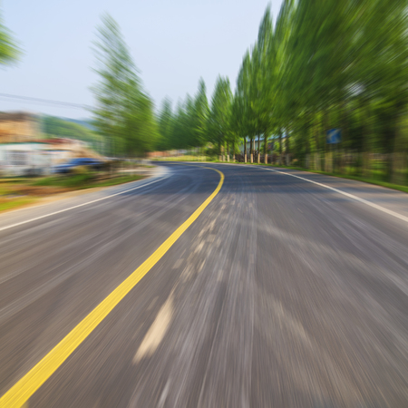 forest roads