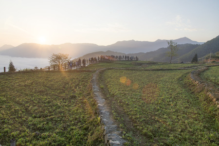 Mountain meadows corridorの写真素材