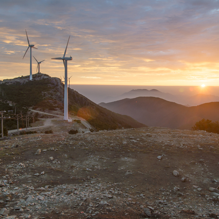 windmill