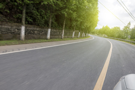 Forest roadの写真素材