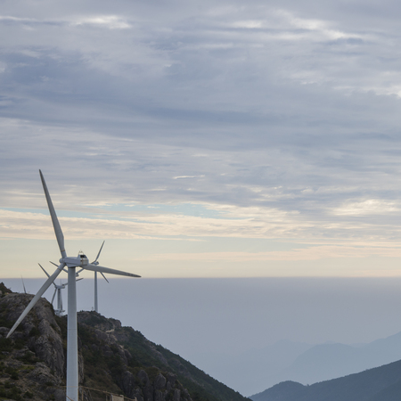 windmill