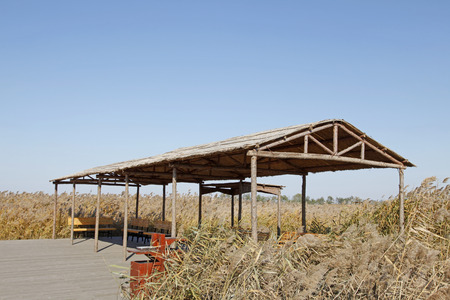Scenery of wetland during autumnの写真素材