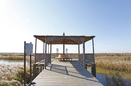 Scenery of wetland during autumnの写真素材