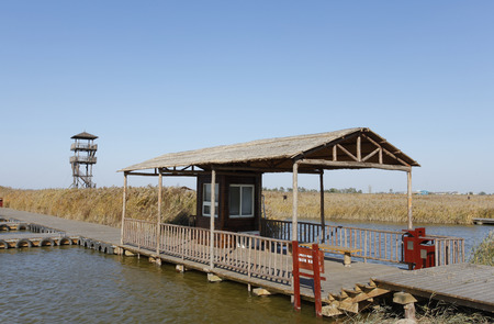 Scenery of wetland during autumnの写真素材