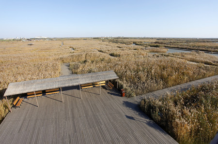 Scenery of wetland during autumnの写真素材