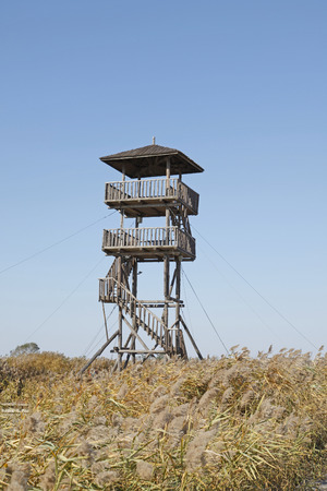 Scenery of wetland during autumnの写真素材