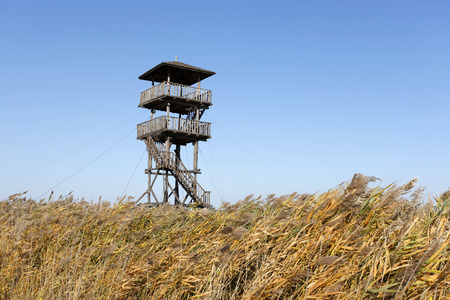 Scenery of wetland during autumnの写真素材