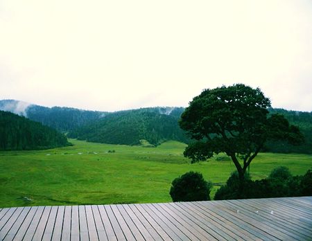 Shangri-la 