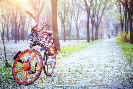 Bicycle with red wheels in the park.の写真素材