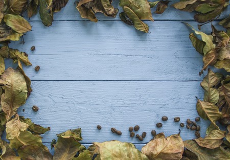 Coffee beans and coffee leaf on a white table top are made of wood at the edges
