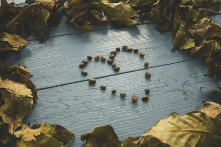 Coffee beans with leaves isolated on a blue background in the form of heart frame of leavesの写真素材
