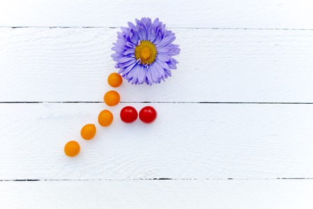 Creative Photo. Violet Chrysanthemum stem and leaves of cherry tomatoes.の写真素材