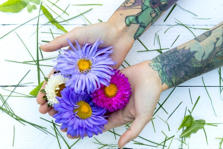 Beautiful hand of a girl with tattoos. Chrysanthemums on female hands white background with blades of grass.の写真素材