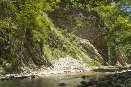 mountain stream in the forestの写真素材