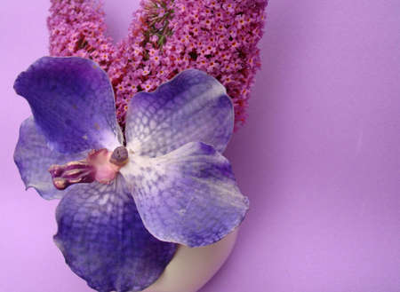 Flower and violet