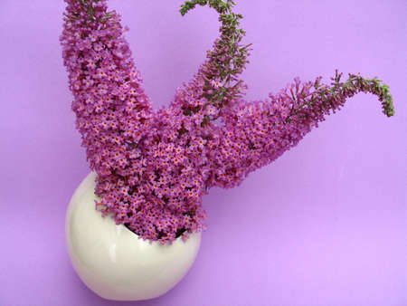 Violet flowers on egg