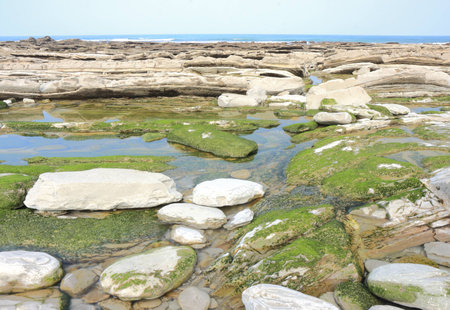 Coast with stones