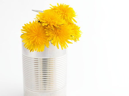 Flowers in canの写真素材