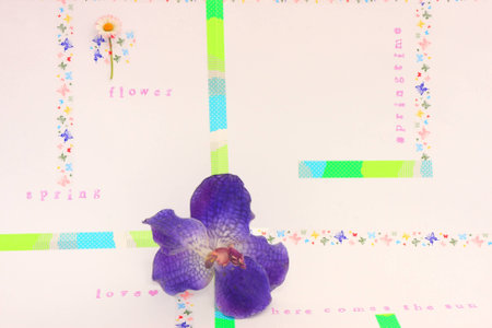 Love   springの写真素材