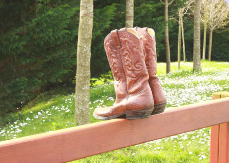 Boot on fence の写真素材