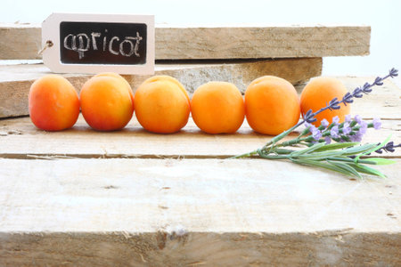 Apricots in rowの写真素材