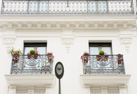 Two windows in the white facadeの写真素材