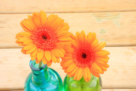 Orange flowers in bottlesの写真素材