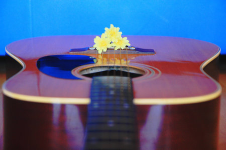 Guitar and flowerの写真素材
