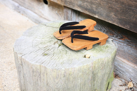 Japanese typical shoes