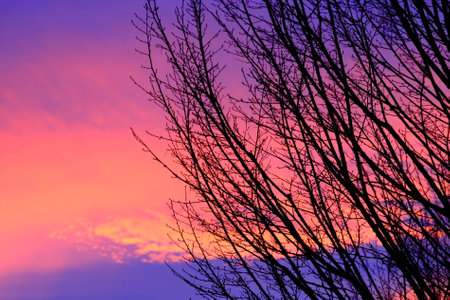 Wake me upの写真素材