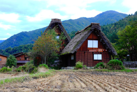 Cottages in villageの写真素材