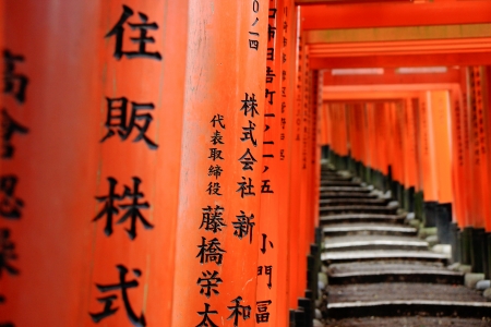 KYOTO, JAPAN - OCTOBER 16  Thousands of toris flanks the way to the Fushimi Inari Shrine on October 16, 2013 in Kyoto, Japan のeditorial素材
