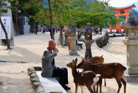 MIYA-JIMA, JAPAN - OCTOBER 18   The deers harass the tourist trying to eat something near the monumental area on October 18, 2013 in Miya-jima-Japan のeditorial素材