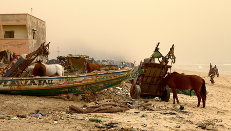 SAINT LOUIS DU SENEGAL,SENEGAL-APRIL 19,2014  The local people fish on the beach between canoes and horses on April 19, in Saint Louis du Senegal のeditorial素材