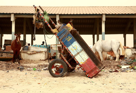 Cart on the beach-Saint Louis du Senegalの写真素材
