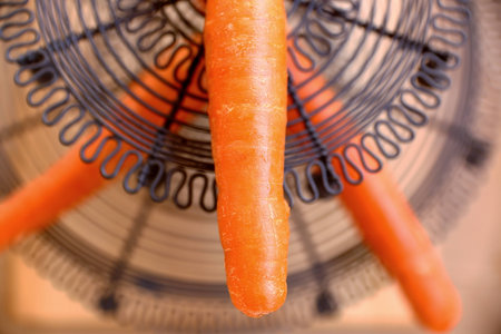 Ricks  carrotの写真素材