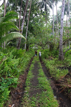 MELVERT,VANUATU-OCTOBER 7, 2014: Guide leads the group of tourists through the jungle with a local  on October 7, in Melvert-Vanuatu.のeditorial素材