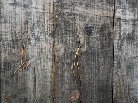 Nice autumn texture of old wooden boards after rainの写真素材