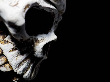 menacing white human skull on a black background close-up. Half frame free for writing textの写真素材