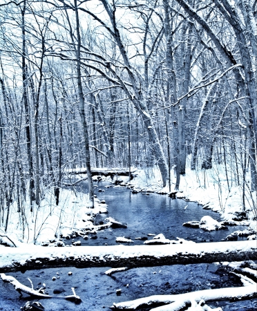 A winter streamの素材