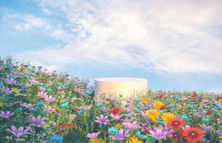 Natural beauty podium backdrop with spring flower field scene. 3d rendering.の写真素材