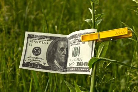 One hundred dollars fixed on a sprout with a clothespeg の写真素材