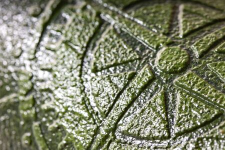 A compass rose (a wind rose). Macro close up 