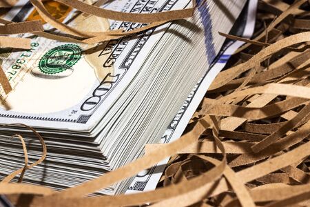 Money nest egg concept. One hundred US dollars bills stack laying in bird nest with soft shadow. One...